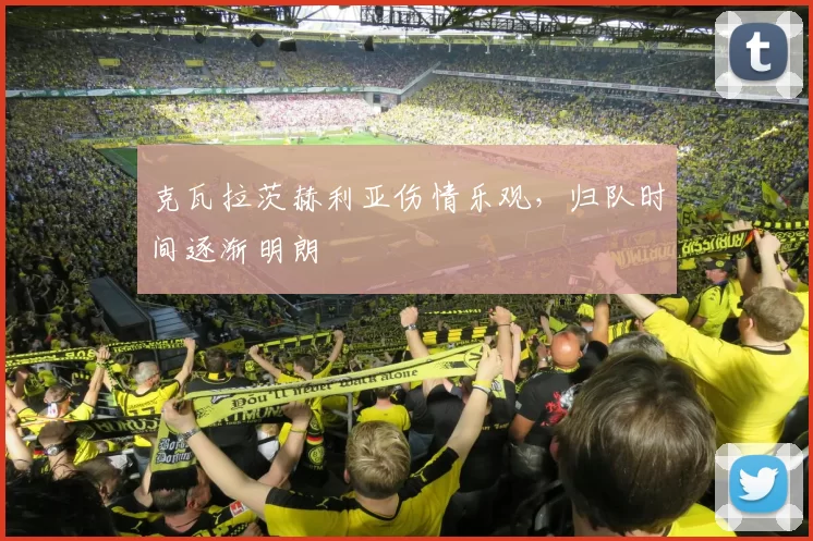 克瓦拉茨赫利亚伤情乐观，归队时间逐渐明朗