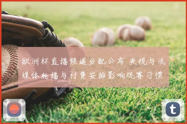 欧洲杯直播频道分配公布 央视与流媒体轮播与付费安排影响观赛习惯