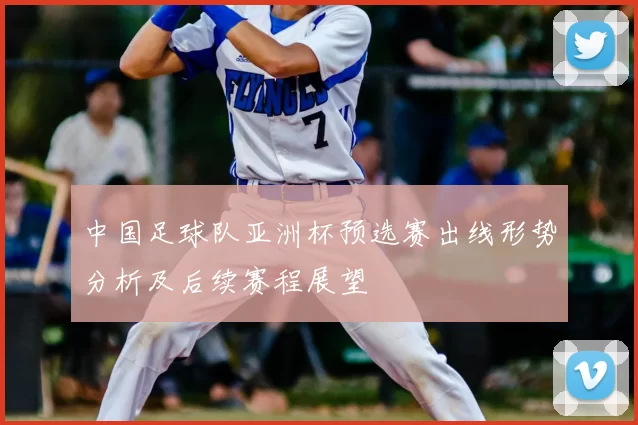 中国足球队亚洲杯预选赛出线形势分析及后续赛程展望