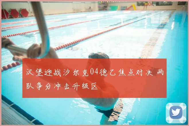 汉堡迎战沙尔克04德乙焦点对决 两队争分冲击升级区